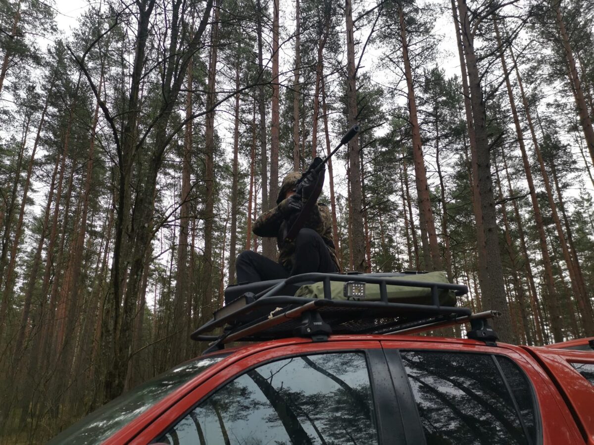 medniek.jpg